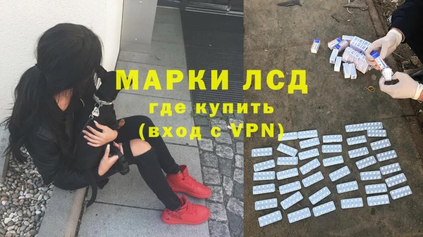 spice Бугульма