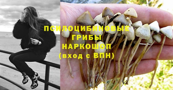 а пвп мука Бронницы