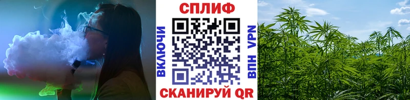 гидра маркетплейс  даркнет сайт  Гремячинск  Марихуана OG Kush 